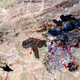 Illustration for article titled Heres Where Well Build Our First Space Mines, According to the Miners